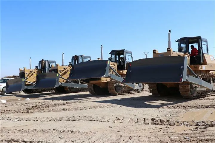Şaredariyan Şedadê beşa pêncemîn a alavan wergirt