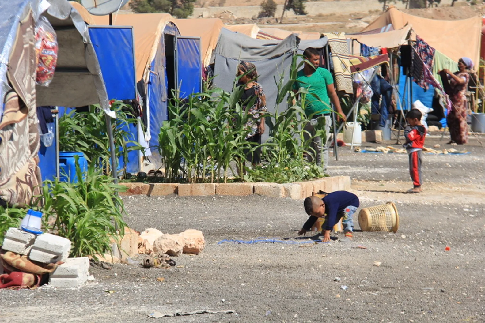 Kampa Efrînê li gorî derfetên heyî  xizmetê dike