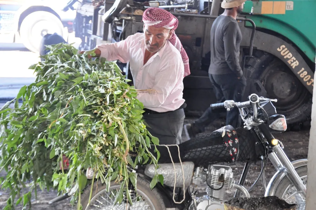 Piştî 4 salan Sûk El-Hal a Kobanê wekî berê lê hat
