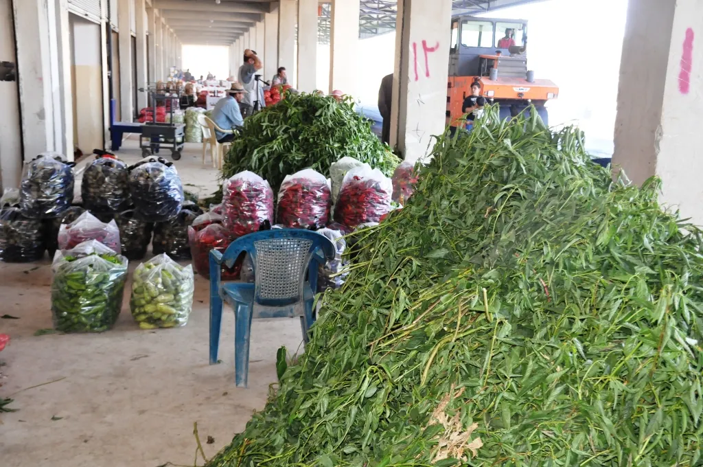 Piştî 4 salan Sûk El-Hal a Kobanê wekî berê lê hat
