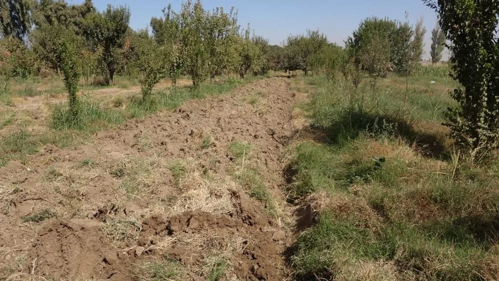 Li Reqayê amadekariyên zivistanê