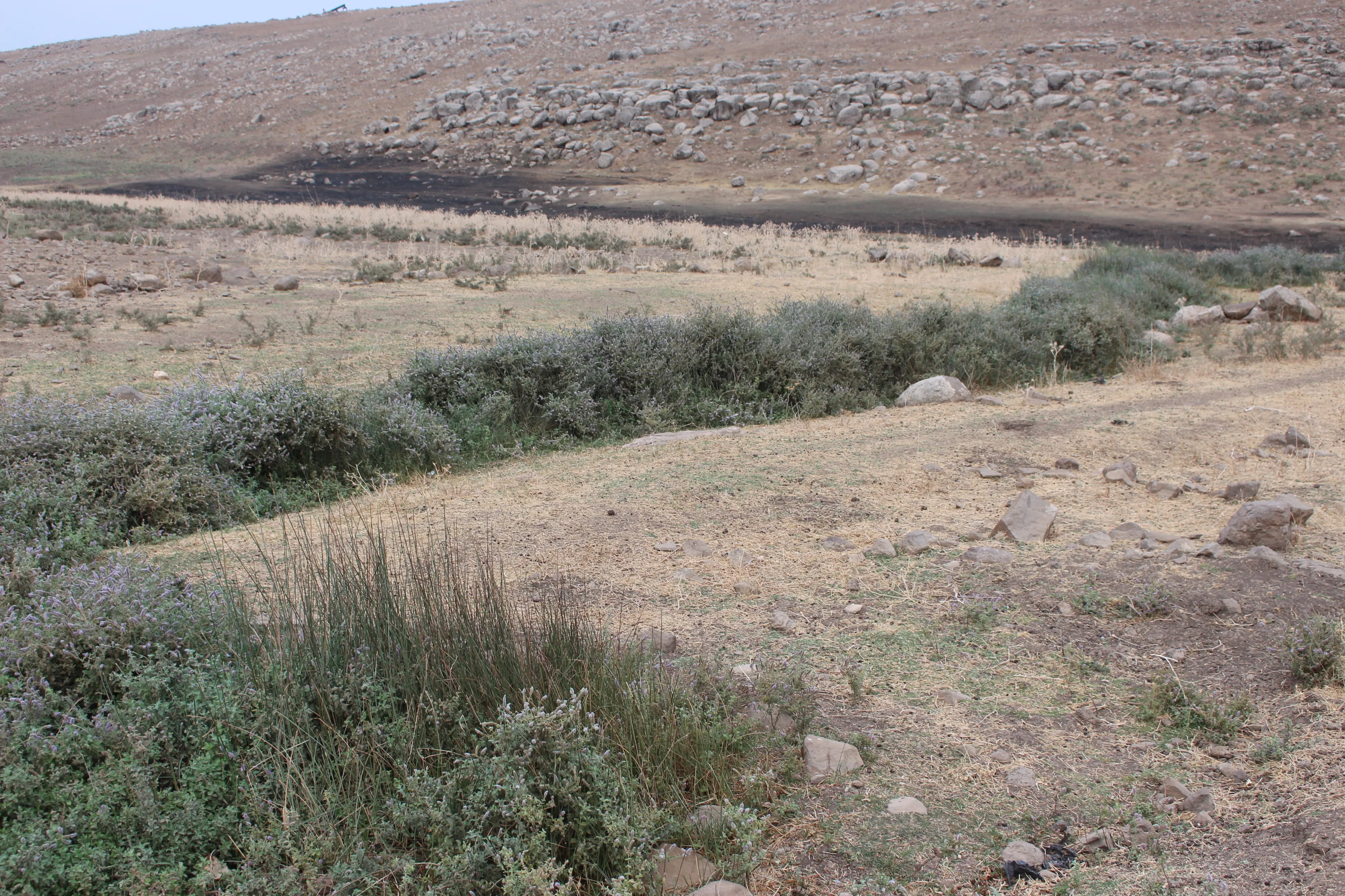 Kaniya Şirik ruxmî siyasetên dewleta Tirk hê jî diherike
