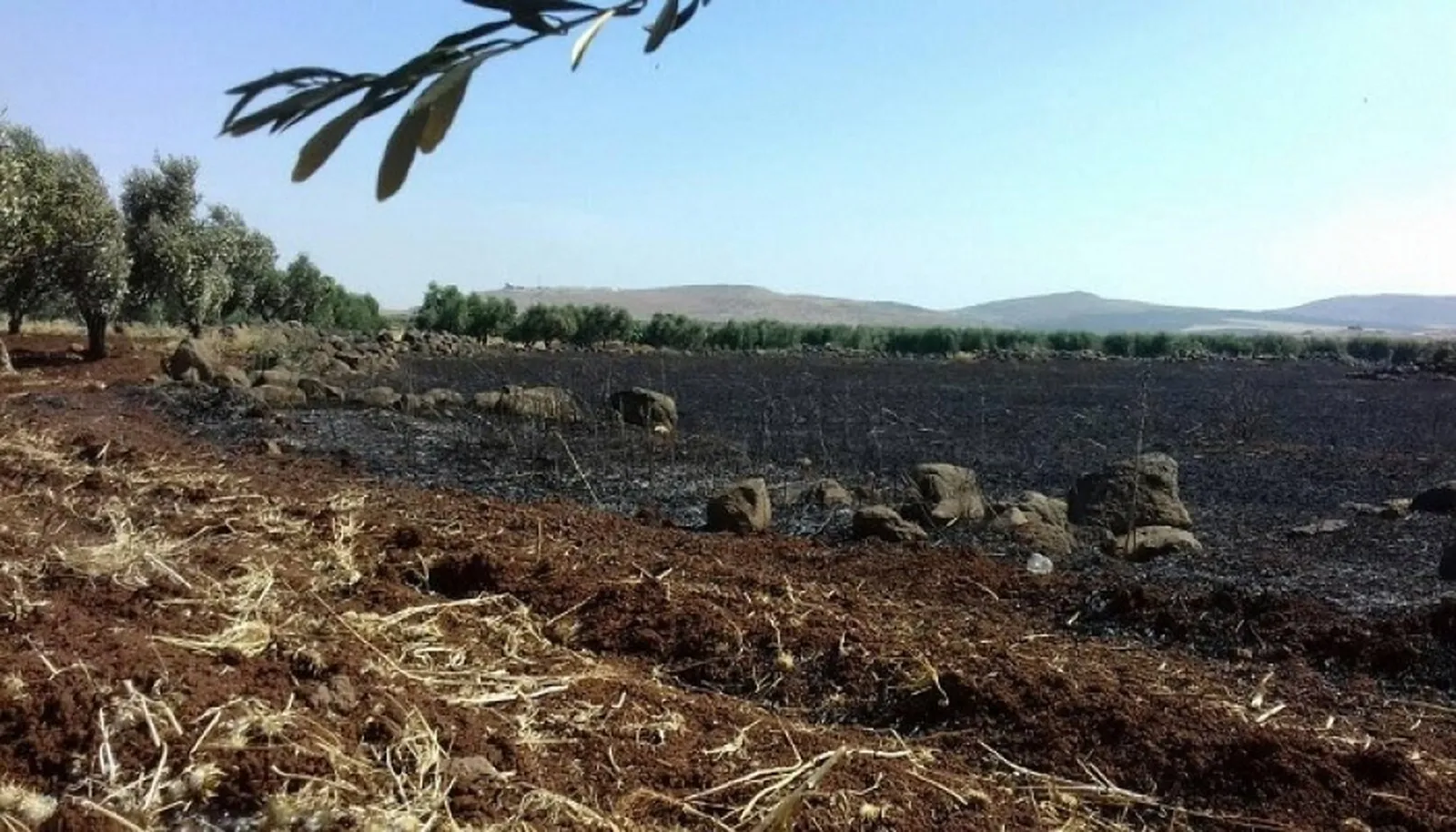 Li Efrînê rûyê rast ê dagirkeriya Tirkiyeyê careke din aşkere dibe