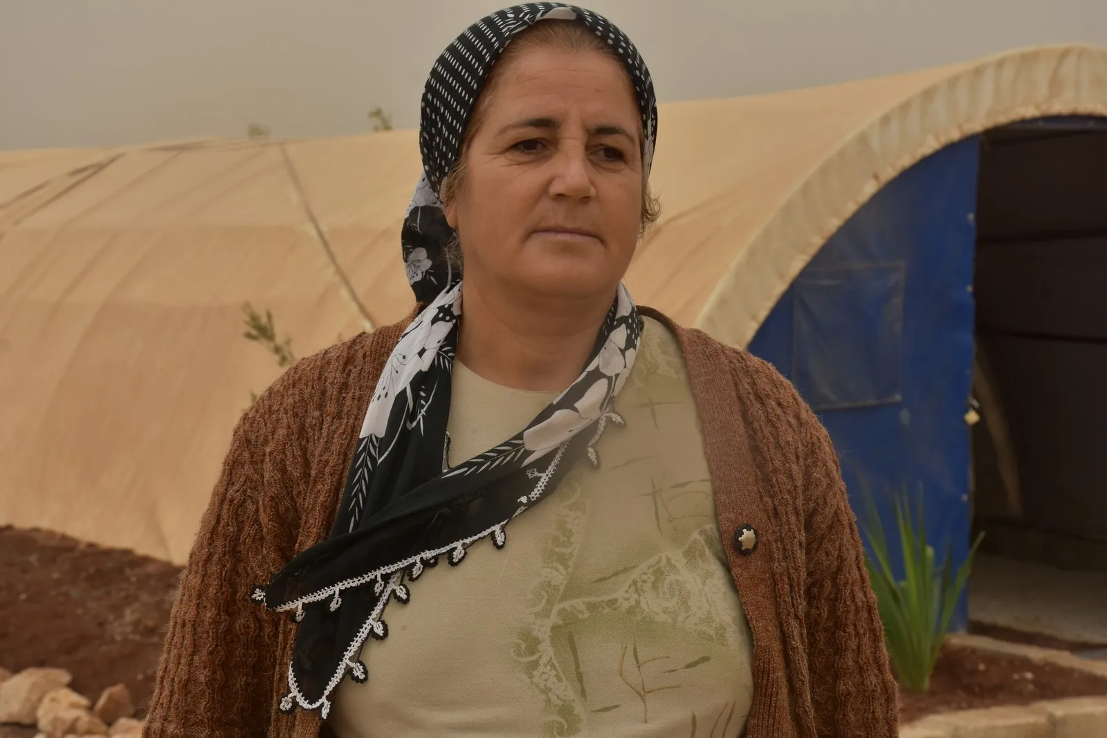 Li pêşiya konê xwe dareke zeytûnê çandin