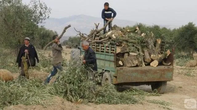 Binpêkirinên dagirkeran li Efrînê bê navber didomin