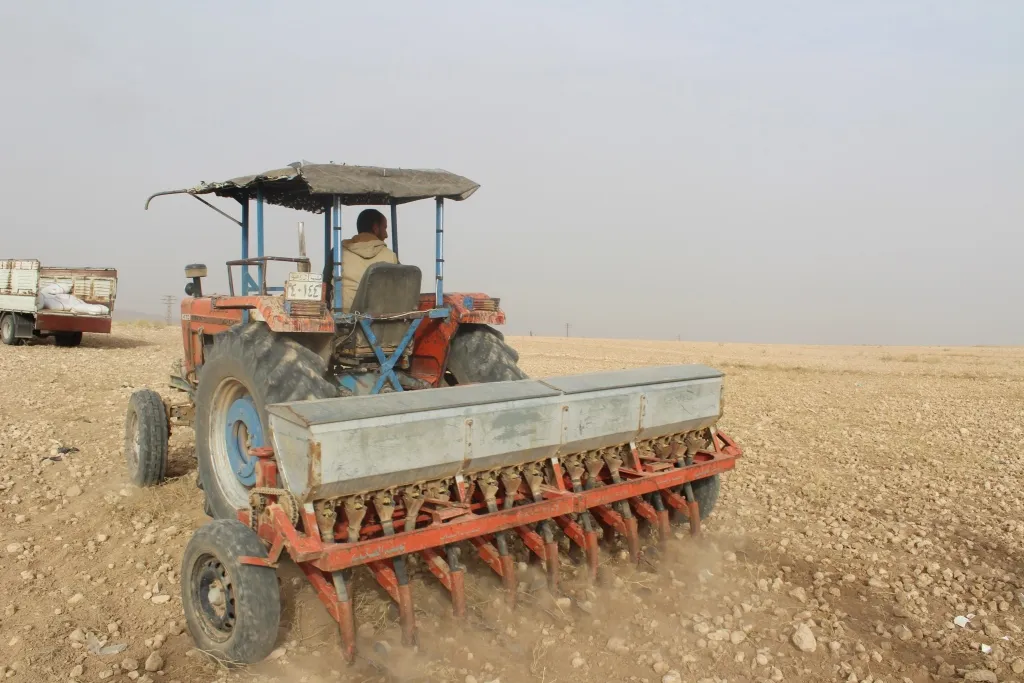 Li Kobanê çandiniyê dest pê kir
