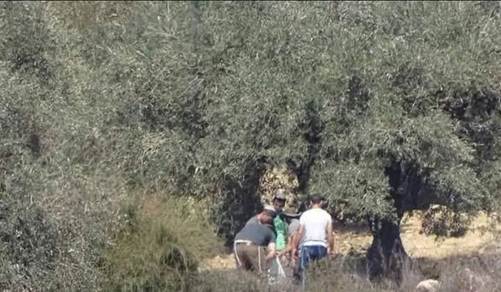 Li Efrînê rewşa Êzidiyan roj bi roj xeternaktir dibe