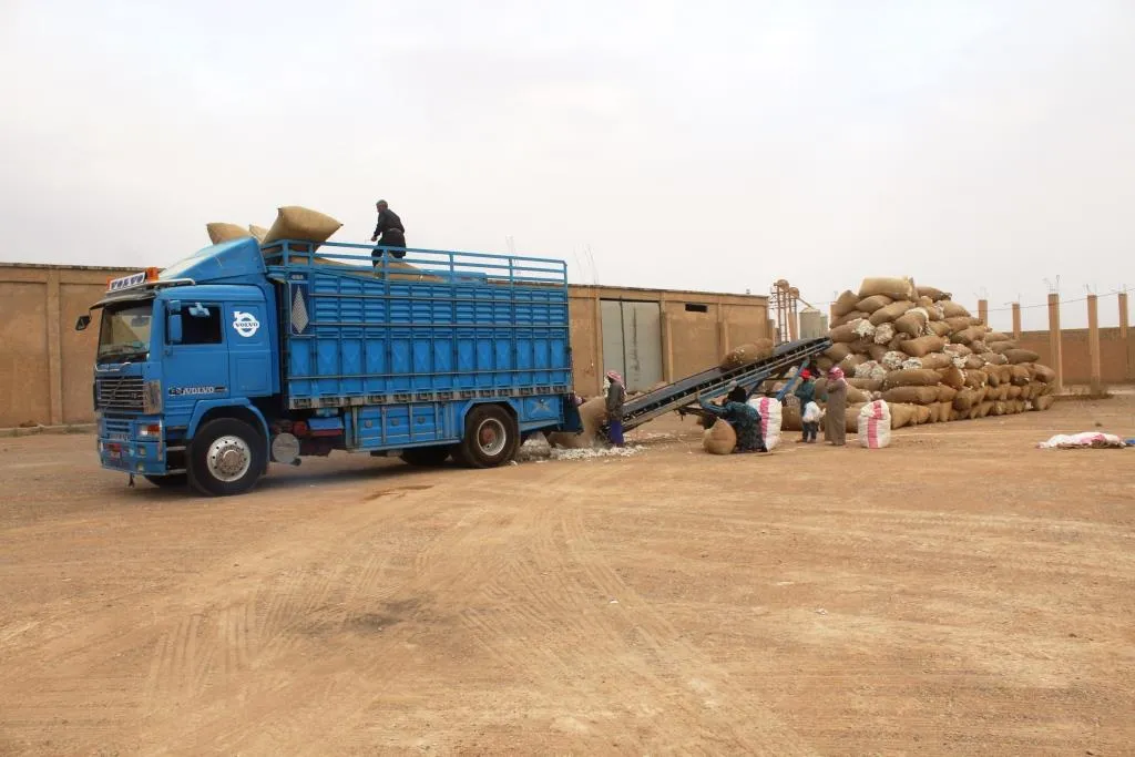 Navenda El-Kebeş rojane 400 ton pembo werdigire