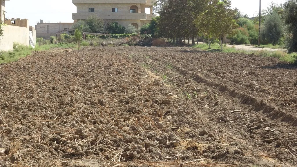Ji bo desteka cotkarên Reqayê plansaziyeke çandiniyê