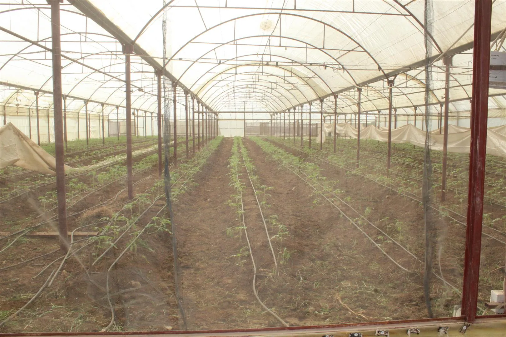 Projeyên baxçeyên sergirtî aborî herêmê geş dike