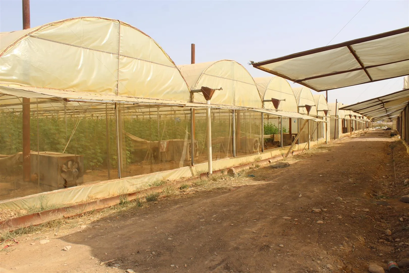 Projeyên baxçeyên sergirtî aborî herêmê geş dike