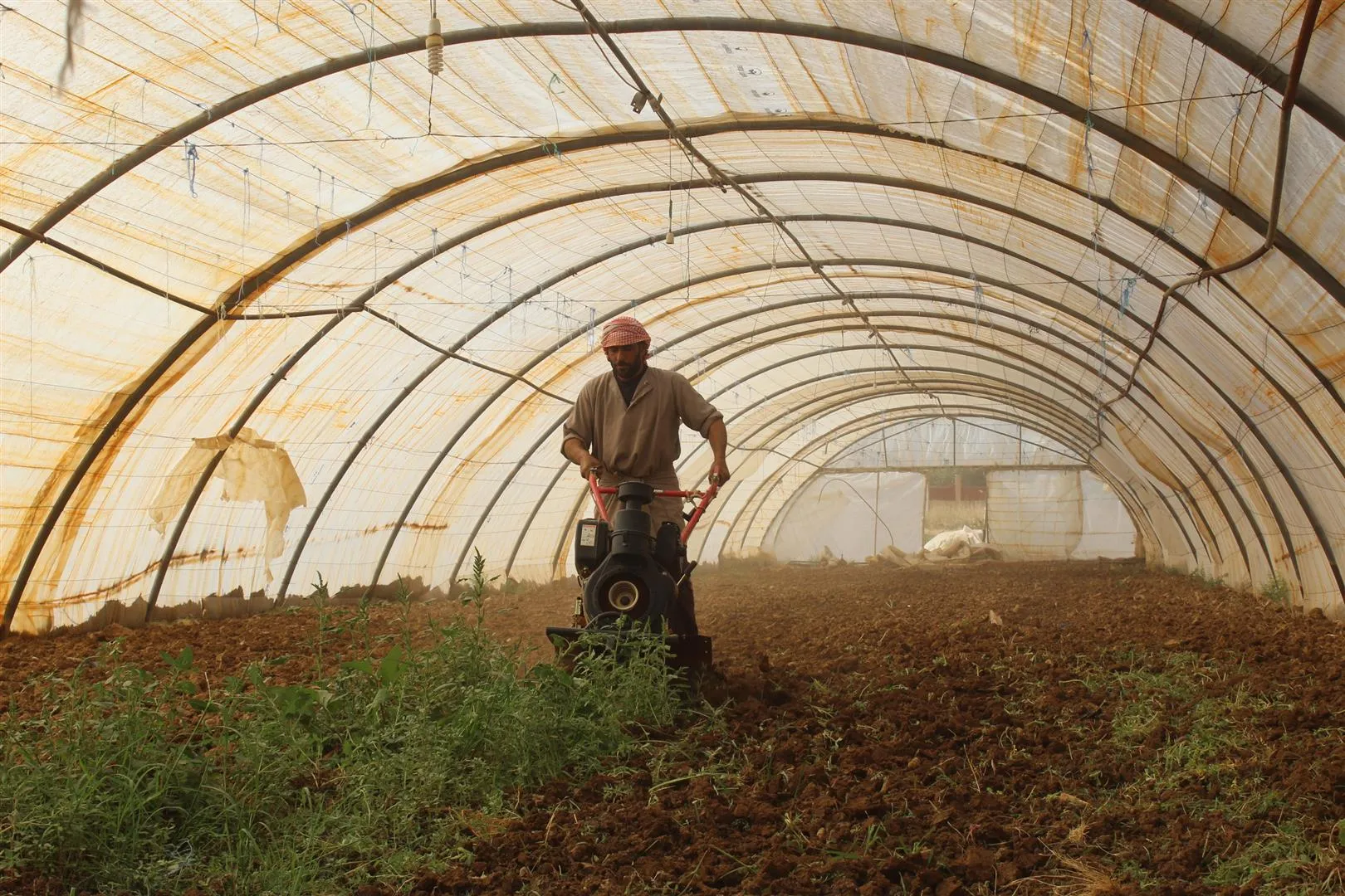 Projeyên baxçeyên sergirtî aborî herêmê geş dike