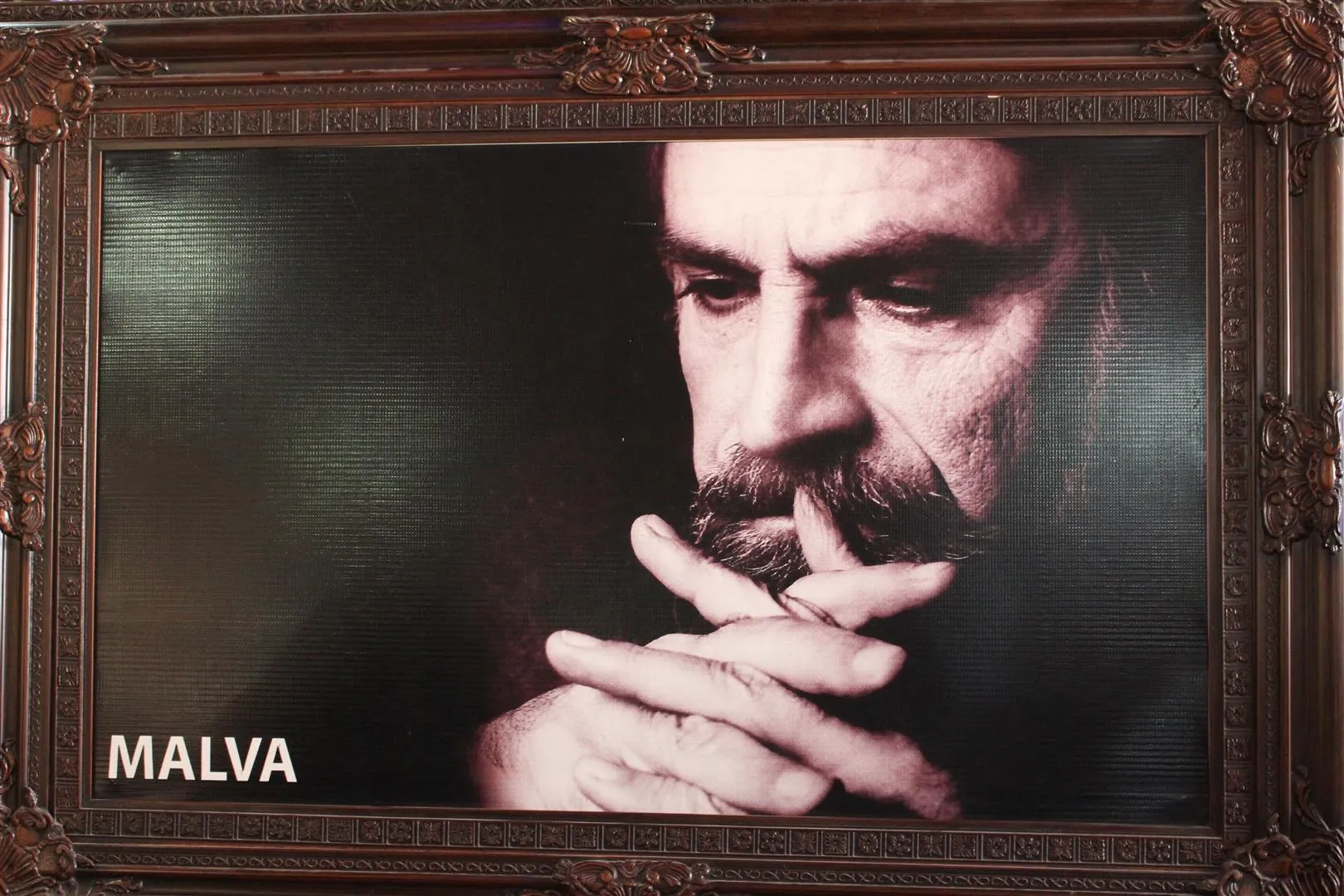 Malva di salvegera xwe ya sêyemîn de hate bibîranî