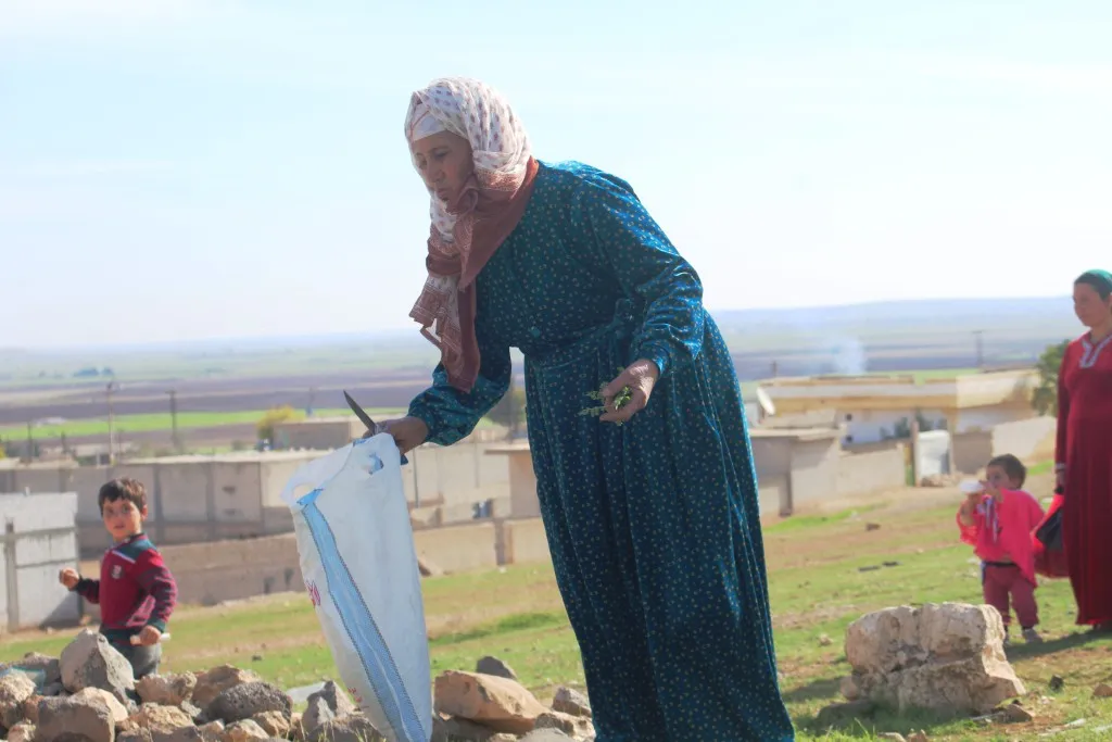 Ji bo tenduristiyê gihayên çolê