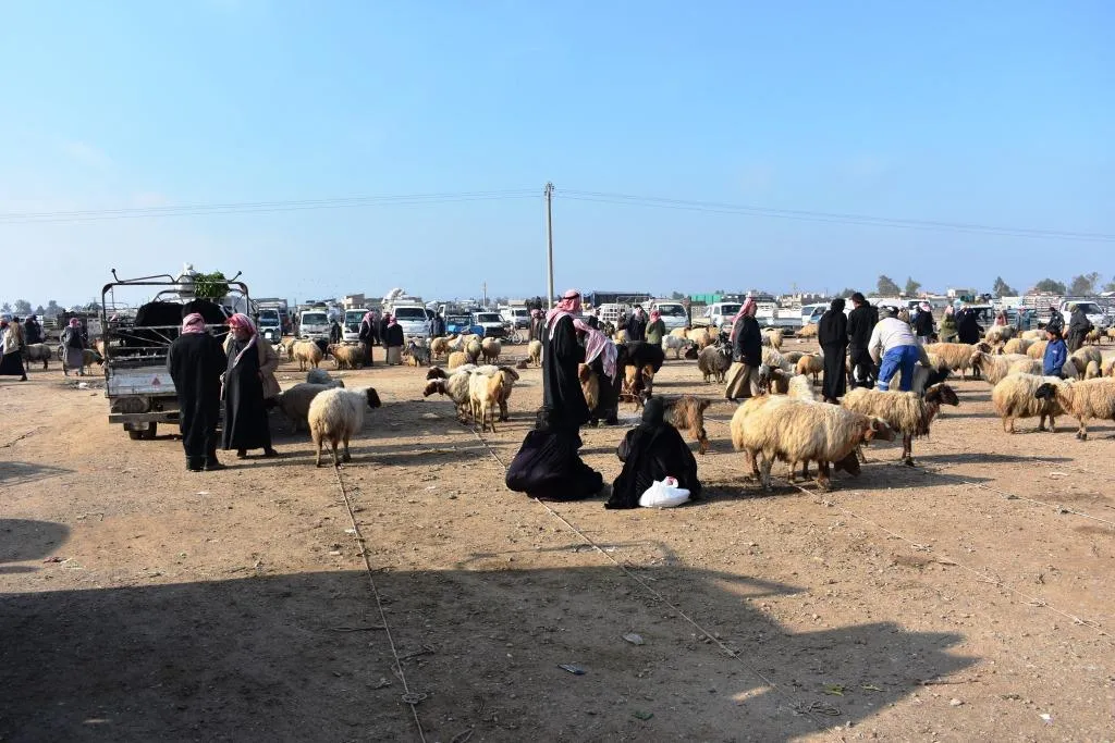 Sûkên gelêrî li Dêrazorê bûye meqseda şêniyan