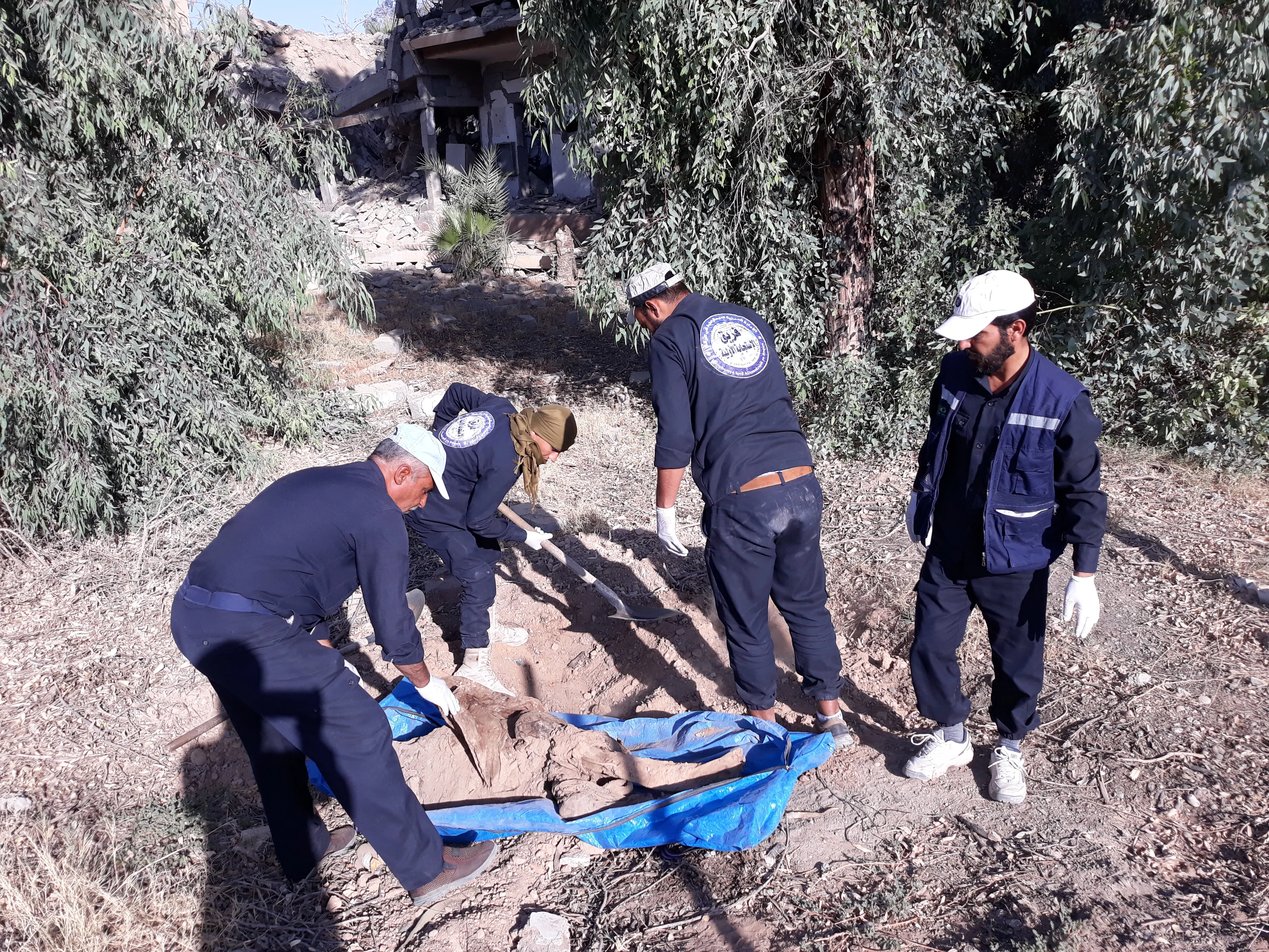 Rola Tîma Destwerdana Destpêkê ya Reqayê