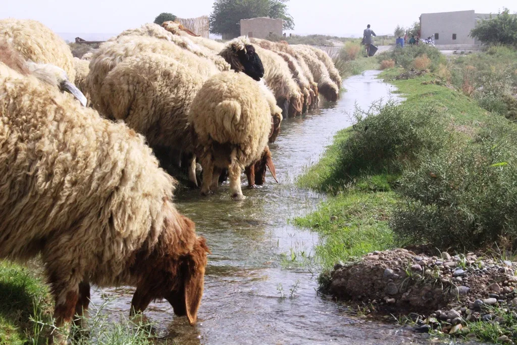 Dîmenenên rengîn li ser bendava Firatê: El-Hewîce