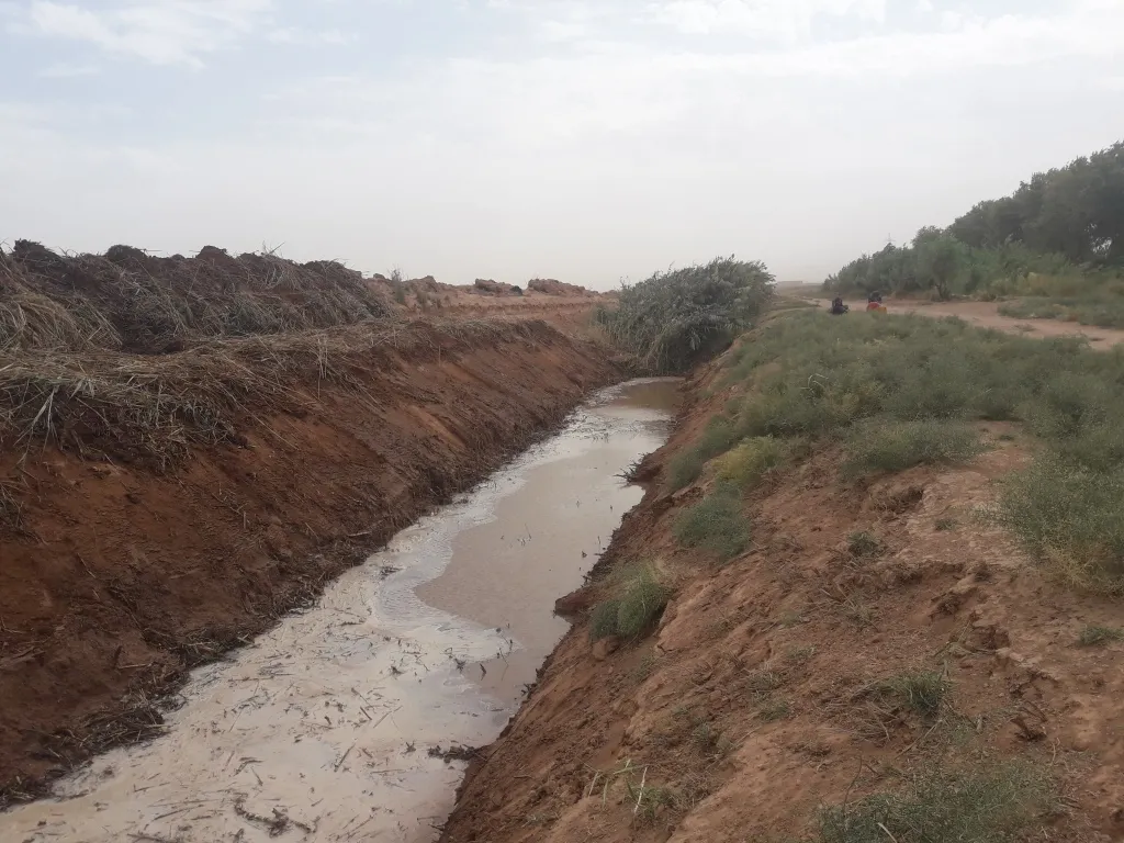 Projeya 'Sewacî El-Xêr' av gihand zêdetirî 3 hezar donim erd