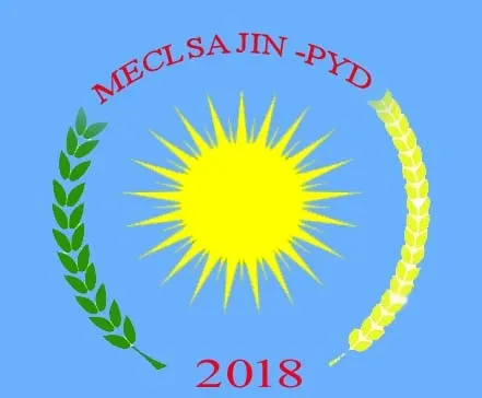 Ji Meclisa Jinan a PYD`ê banga birêxistinkirina jinan