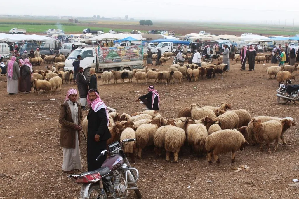 Sûkên gelêrî jêder û meqseda şêniyên Reqayê ne