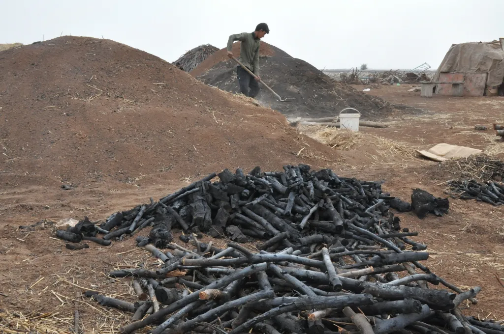 Li Kobanê çêkirina komira daran