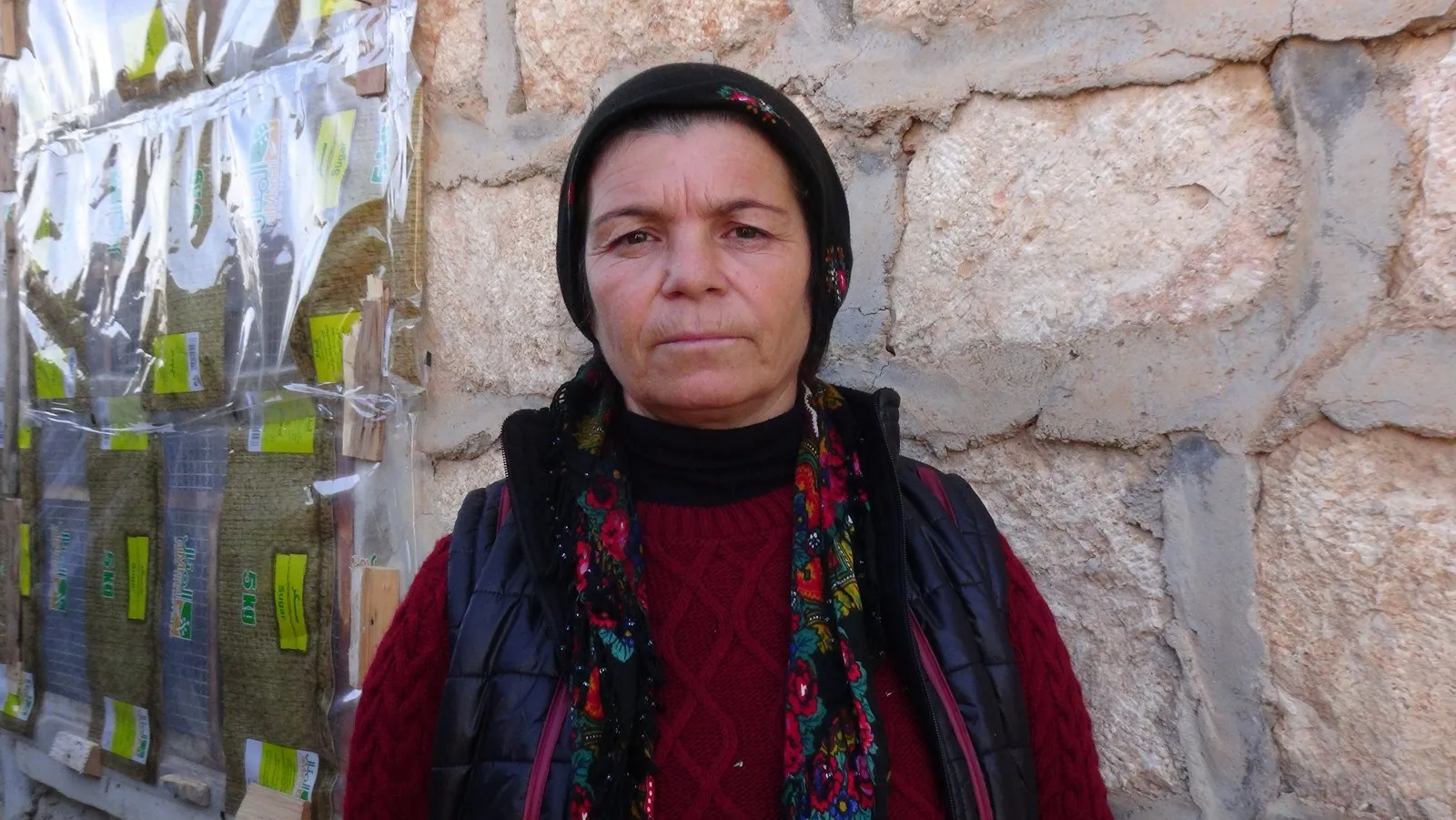 Jinên Efrînê dest bi rêzeçalakiyên Roja 25`ê Mijdarê kirin