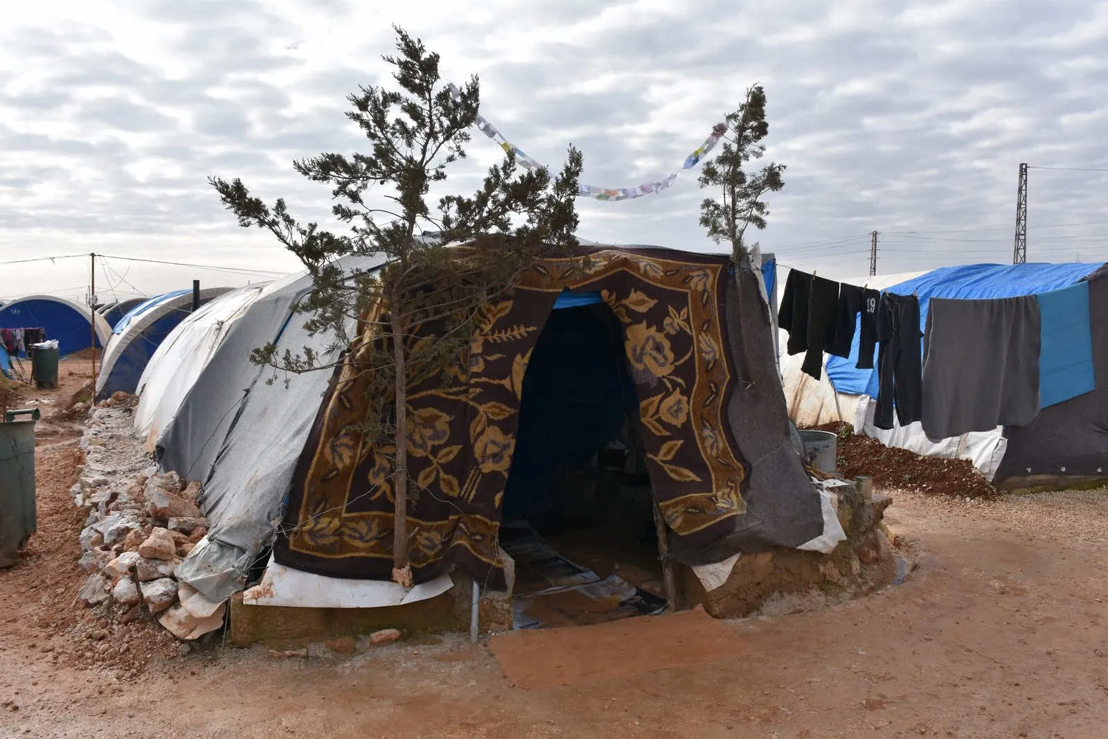 Ji sala 2019'an hêviyan wan a tekane vegera li Efrînê ye