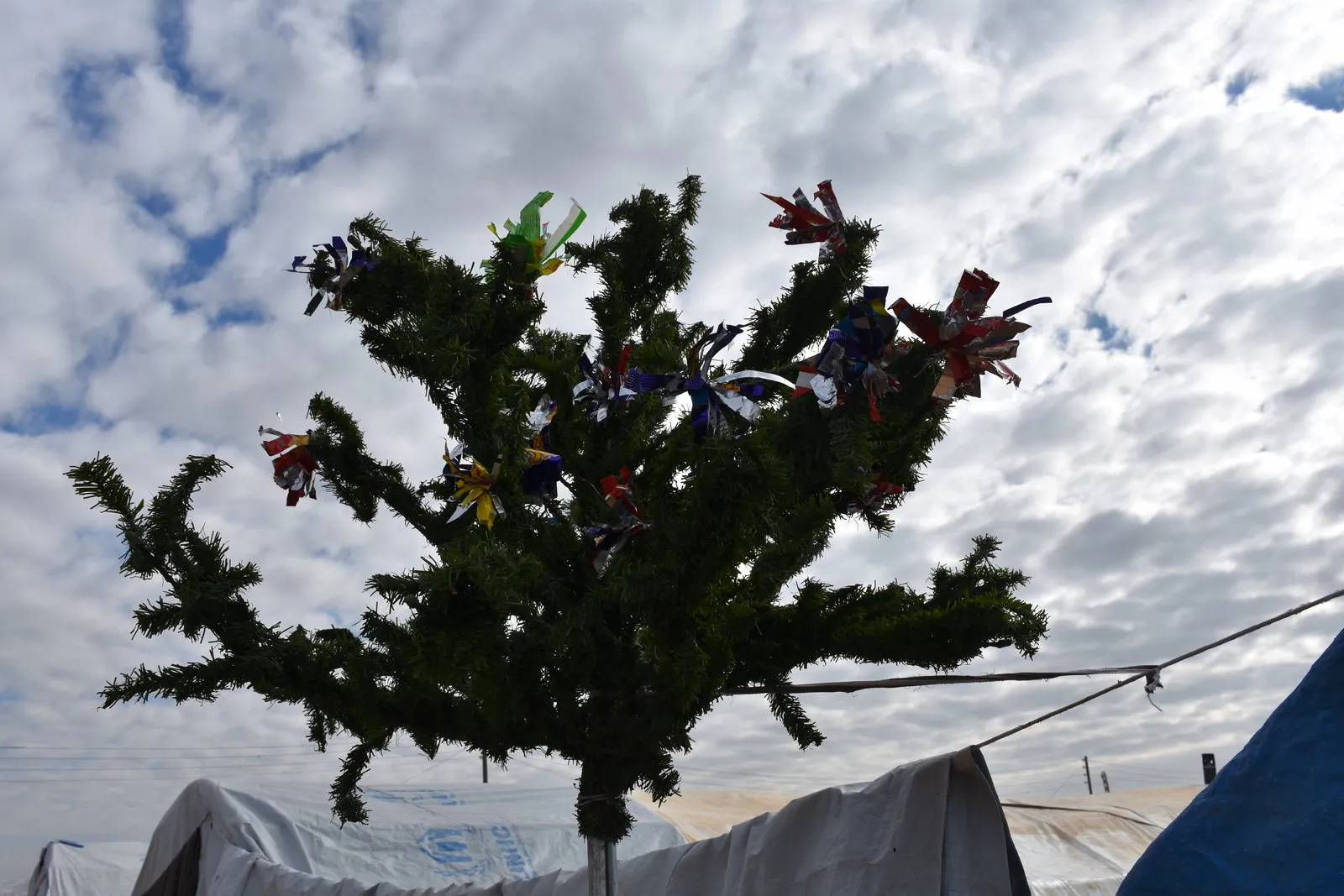 Ji sala 2019'an hêviyan wan a tekane vegera li Efrînê ye