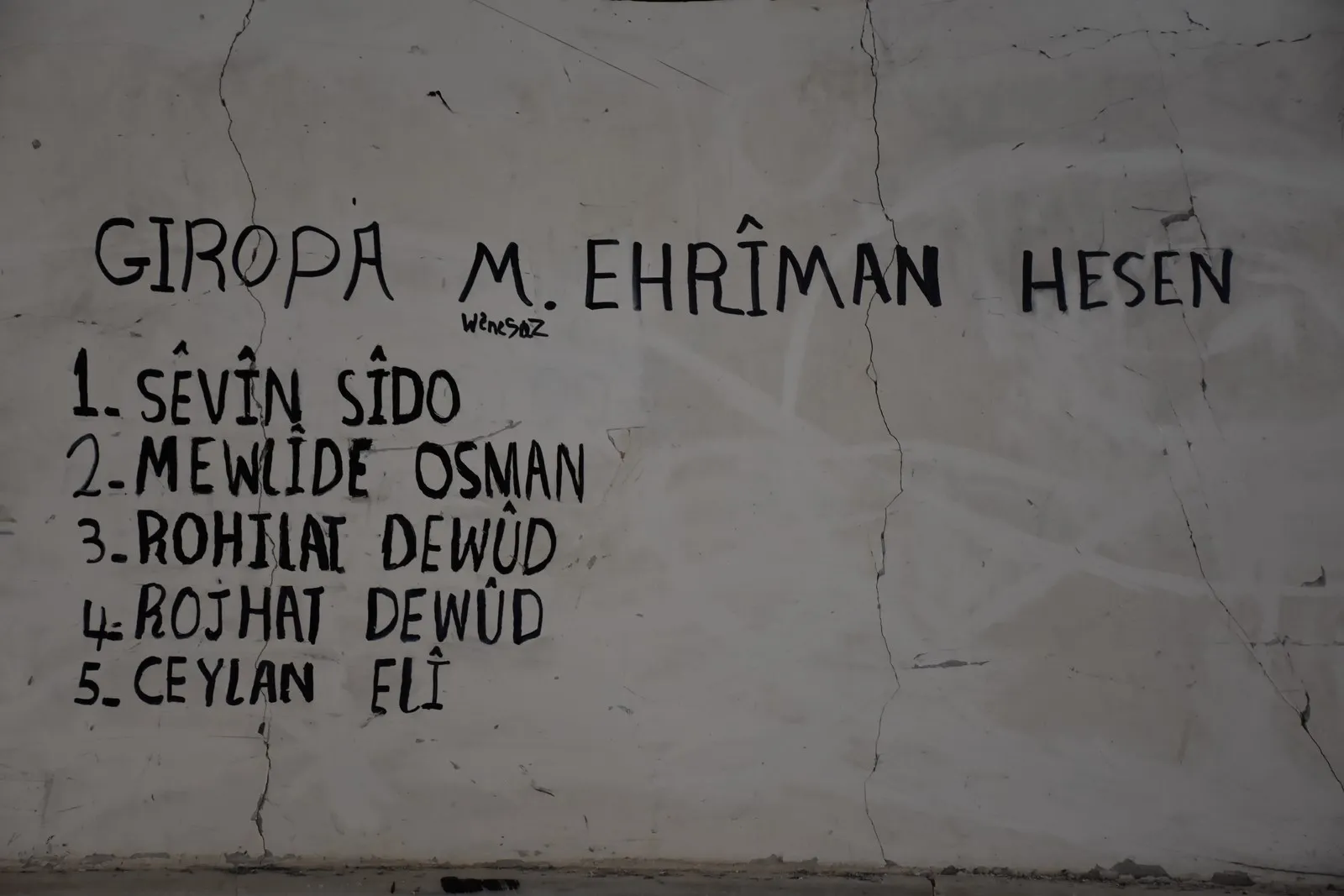 Bi wêneyên xwe hestên bêrîkirina Efrînê rave dike