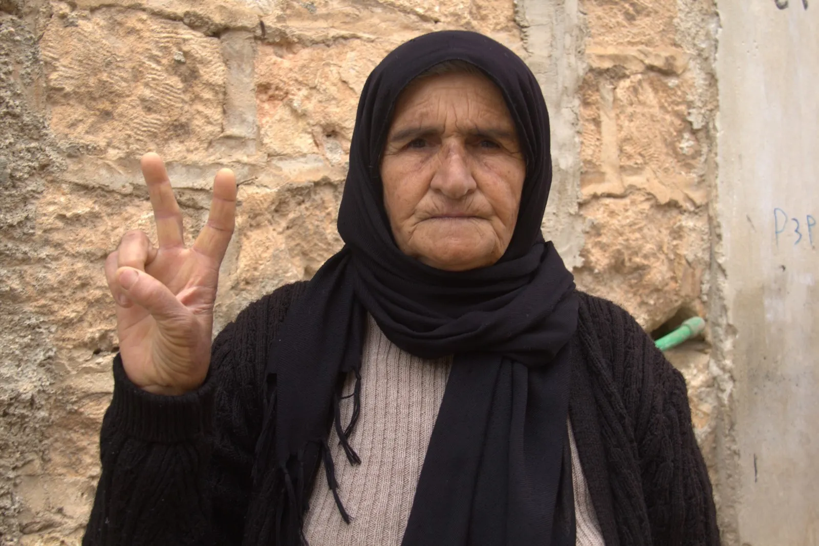 Şêniyên Efrînê: Ji bilî Rêveberiya Xweser tu kes ji me re nebû alîkar