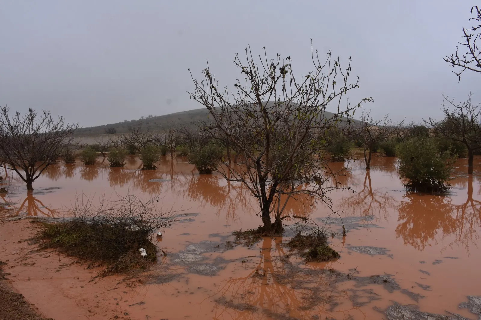 Bi hatina zivistanê re azarên gelê Efrînê zêdetir dibin