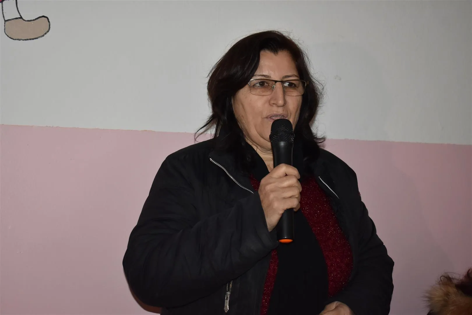 Li Dêrikê bexçeyê şehîd Sara hat vekirin