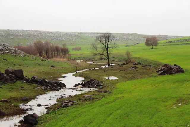 Kanî û rûbarên Tirbespiyê piştî salan ji nû ve diherikin
