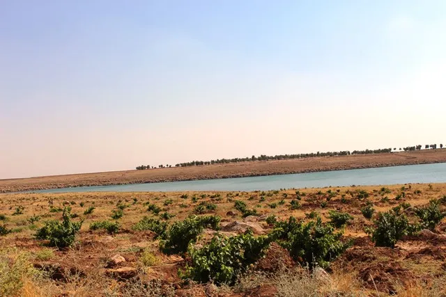 Kanî û rûbarên Tirbespiyê piştî salan ji nû ve diherikin
