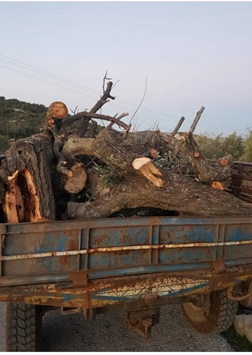 Di salvegerê de talan û wêrankirina Efrînê berdewam e