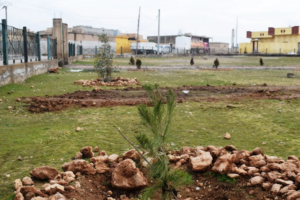 Şaredariya Eyn Îsayê parkan sererast dike