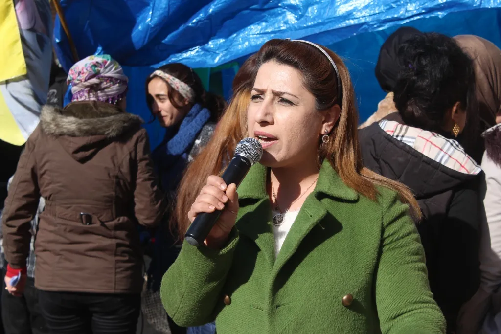  Hesekê, Amûdê û Dirbêsiyê: Em ê Efrînê rizgar bikin