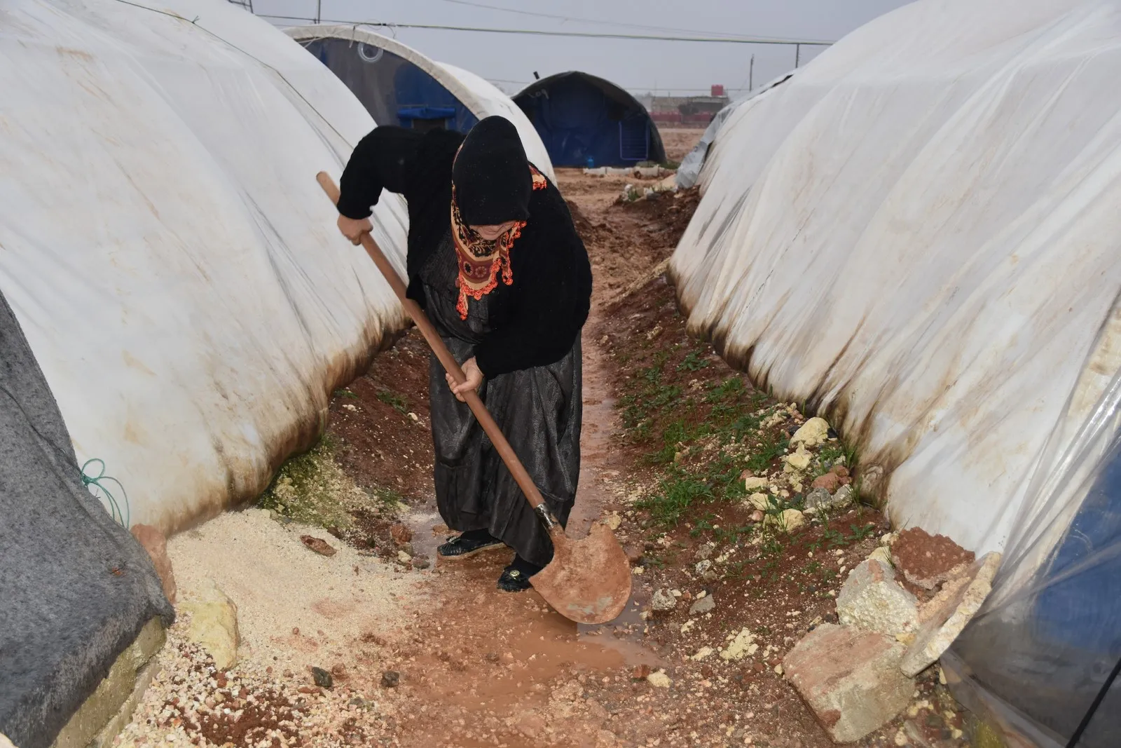 Şêniyên Efrînê: Heta rizgarkirina Efrînê em ê li  vir bin