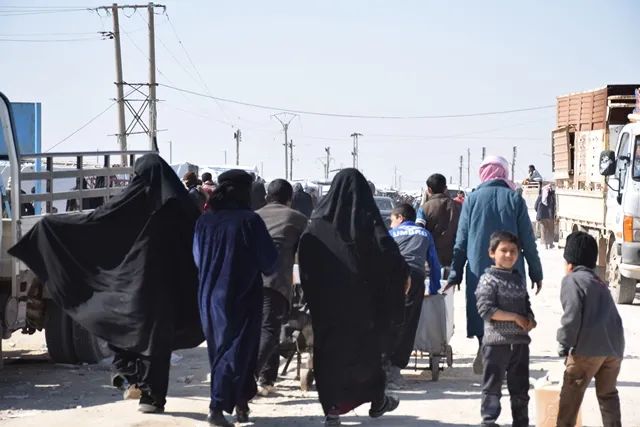 43  hezar koçber û penaber li kampa Holê dimînin