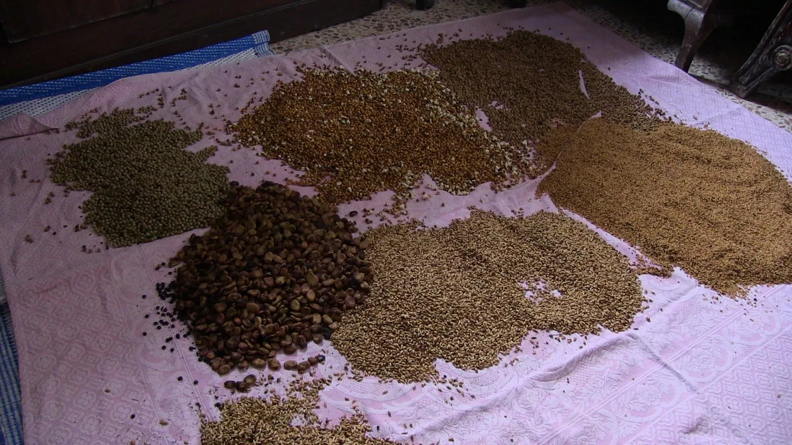 Êzidî Cejna Xidir Ilyas bi hêviyan pêşwazî dikin