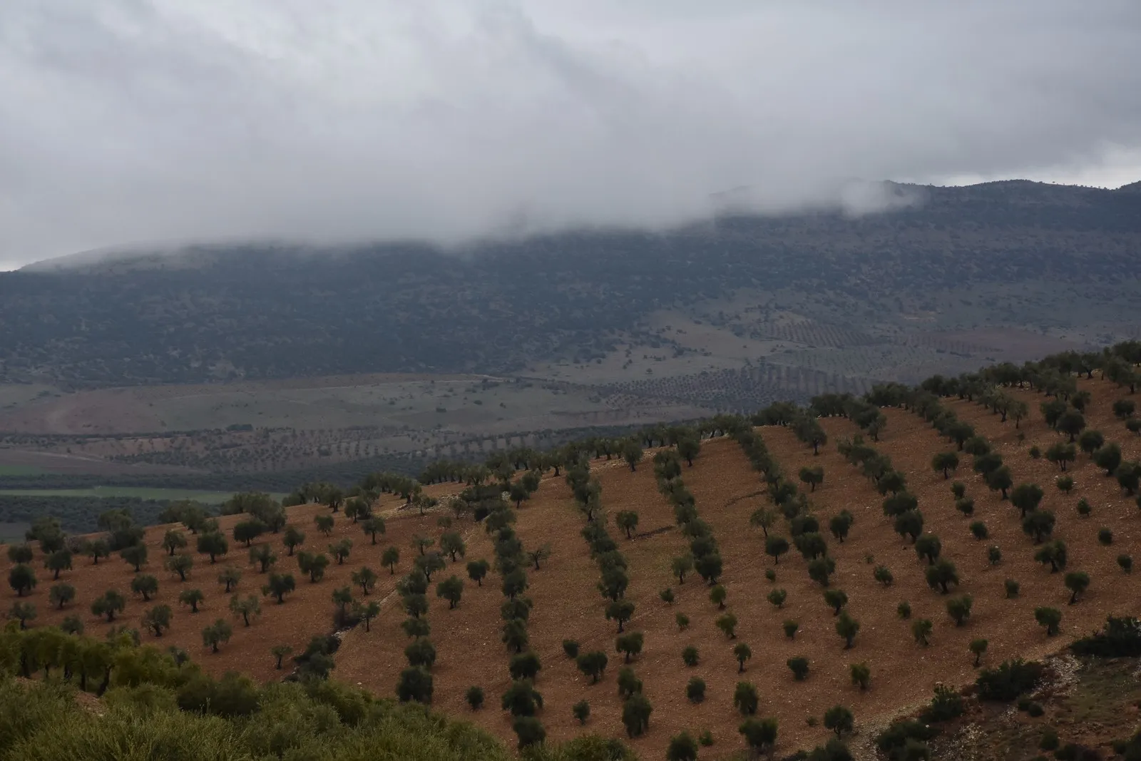 ‘Dijmin her kes kir hedef, lê berxwedan jî erka hemûyan bû’
