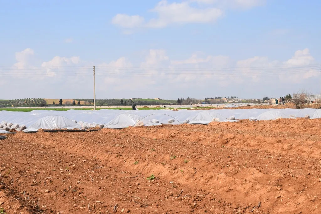 Cotkarên Tirbespiyê amadekariya mewsima havînê dikin