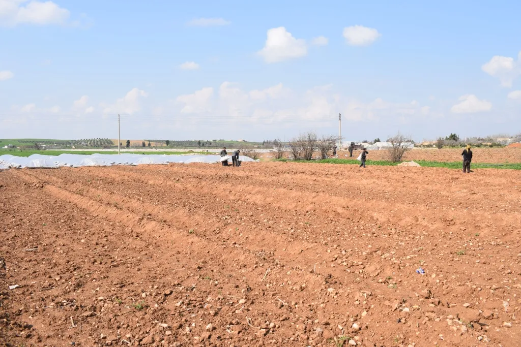 Cotkarên Tirbespiyê amadekariya mewsima havînê dikin