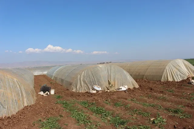 Cotkarên Tirbespiyê amadekariya mewsima havînê dikin