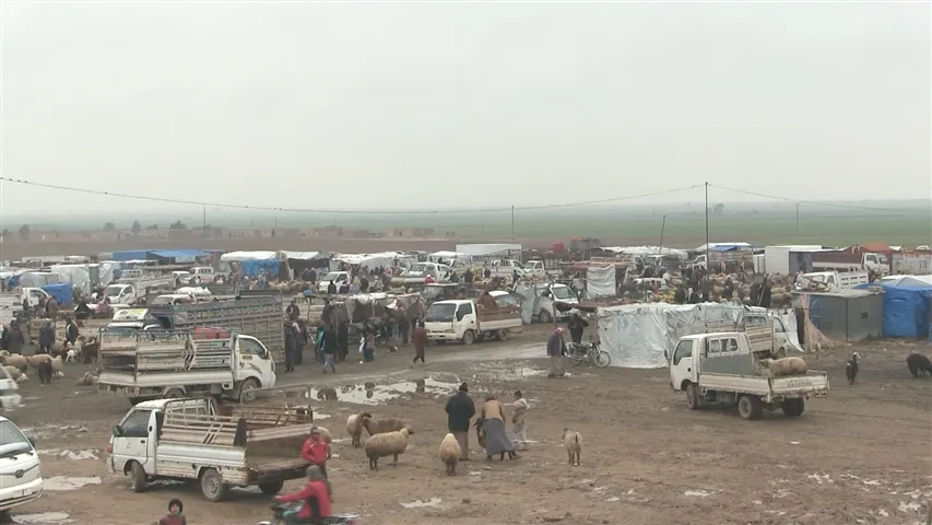 Sûka Hedadiyê jêdra pêkanîna pêdiviyên şêniyan e