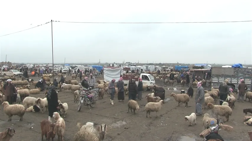 Sûka Hedadiyê jêdra pêkanîna pêdiviyên şêniyan e