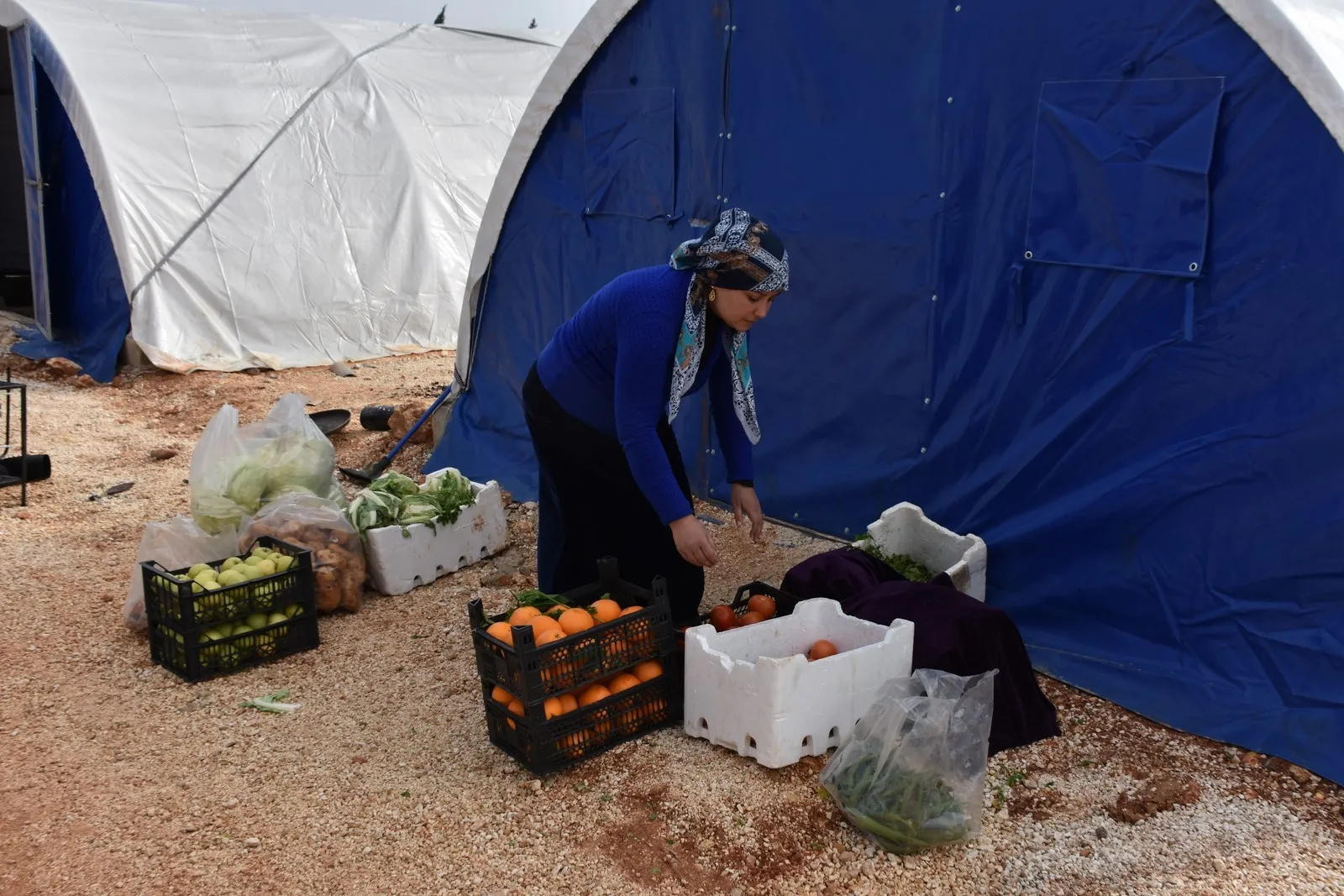 Jinên Efrînê bi hesreta vegera li warê xwe, li Şêrawa jiyanê diafirînin