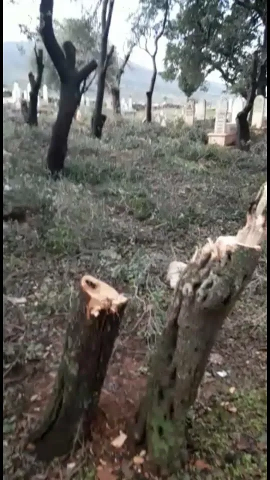 Kiryarên qirêjî yên çeteyên Tirkiyê li Efrînê dewam dikin