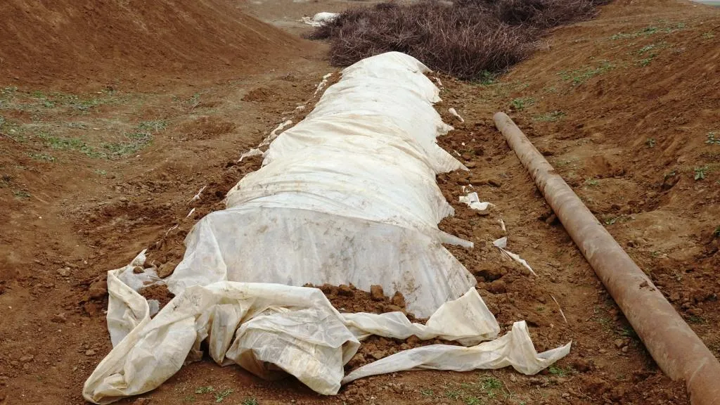 Cotkarên Reqayê dest bi amadekariyên mewsima havînê kir