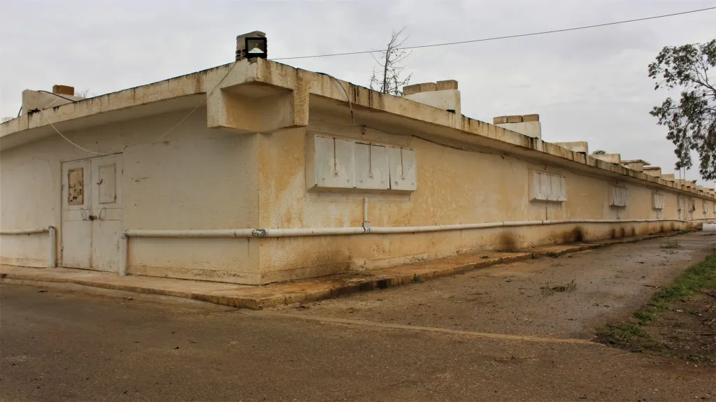 Li Tebqayê projeya medceneyan tê aktivkirin
